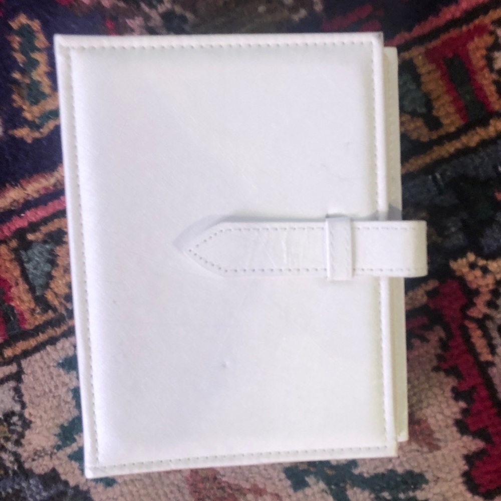 Earring organizer or travel case
